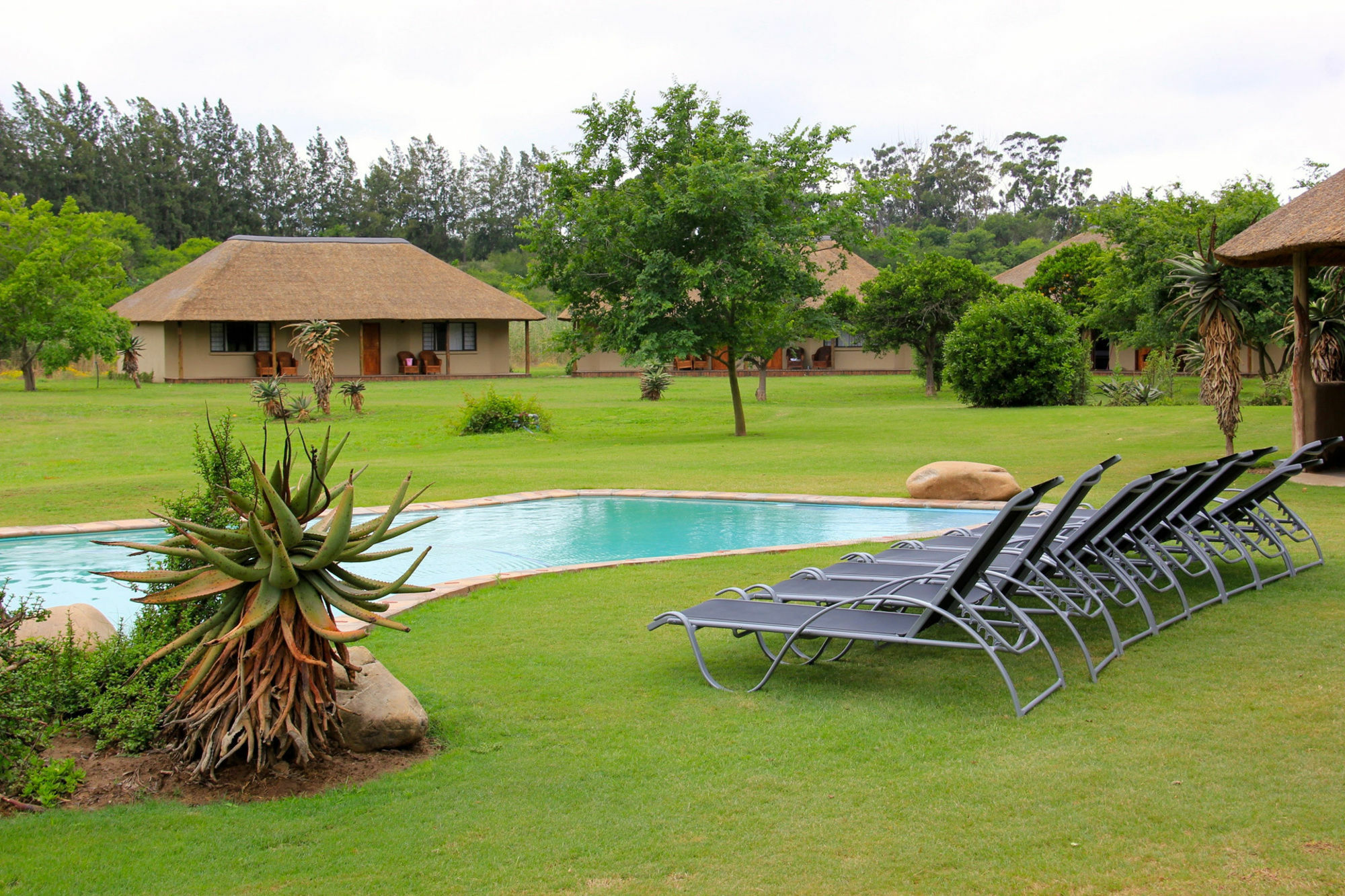 Chrislin African Lodge Аддо Екстер'єр фото